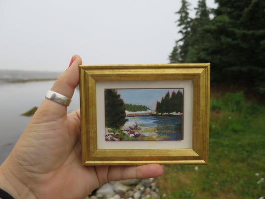 Eel Cove and Shut-in Island