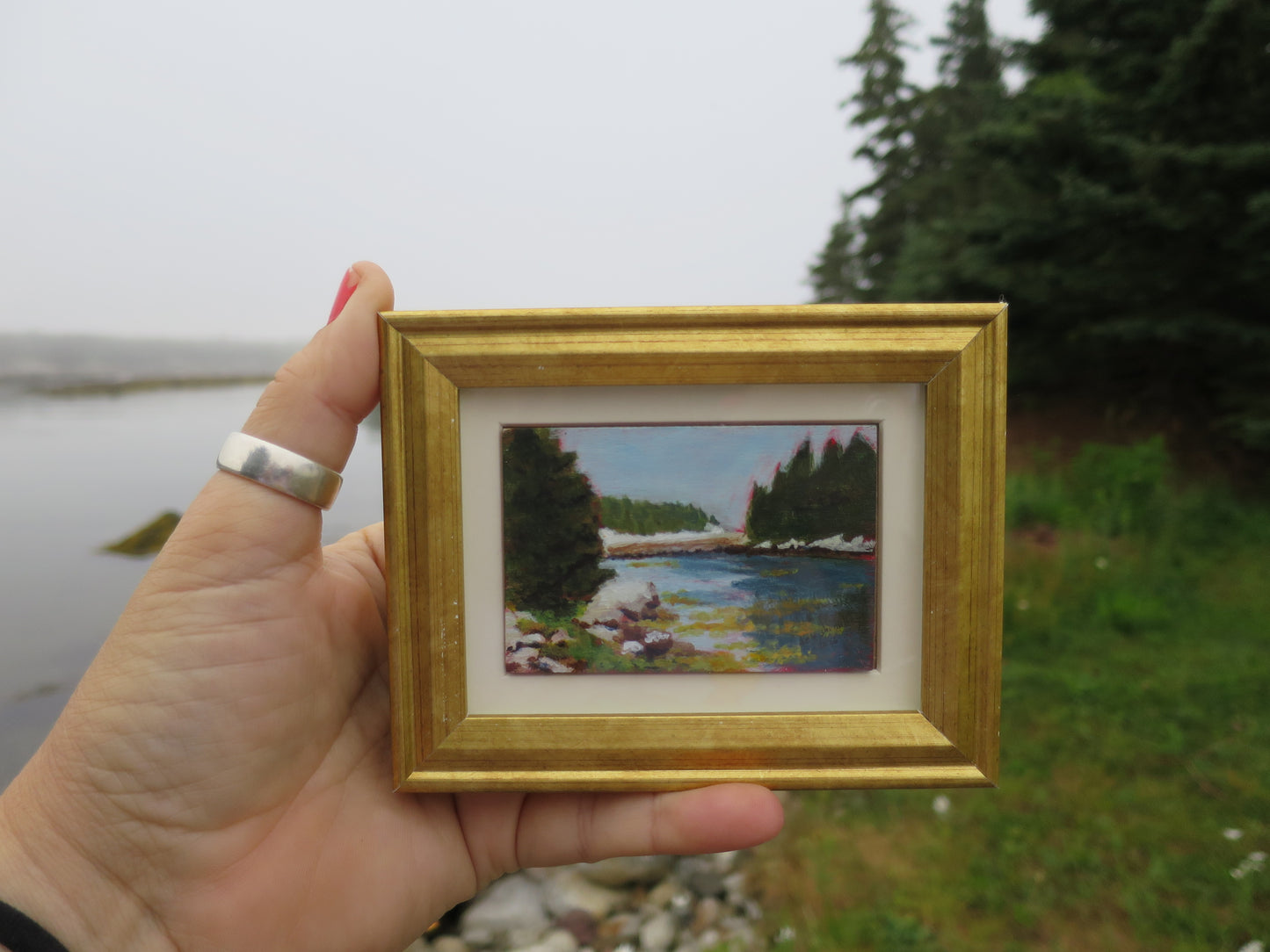 Eel Cove and Shut-in Island