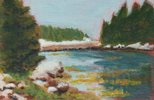 Eel Cove and Shut-in Island